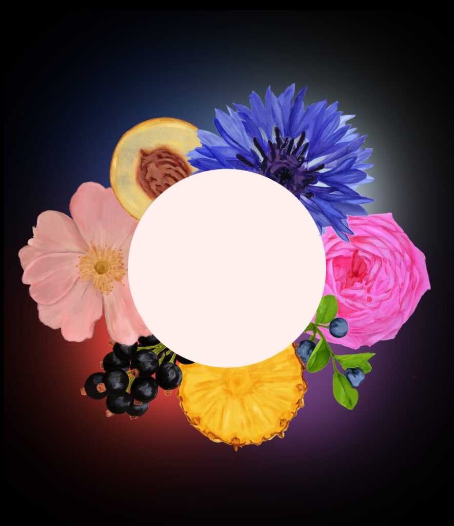 ilustración sin título(2)